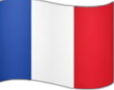 french-icon